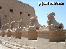 [P08] Intrarea in templul cu statuile ce strajuiesc poarta » foto by artistul_18
 - 
<span class="allrVoted glyphicon glyphicon-heart hidden" id="av156894"></span>
<a class="m-l-10 hidden" id="sv156894" onclick="voting_Foto_DelVot(,156894,3529)" role="button">șterge vot <span class="glyphicon glyphicon-remove"></span></a>
<a id="v9156894" class=" c-red"  onclick="voting_Foto_SetVot(156894)" role="button"><span class="glyphicon glyphicon-heart-empty"></span> <b>LIKE</b> = Votează poza</a> <img class="hidden"  id="f156894W9" src="/imagini/loader.gif" border="0" /><span class="AjErrMes hidden" id="e156894ErM"></span>