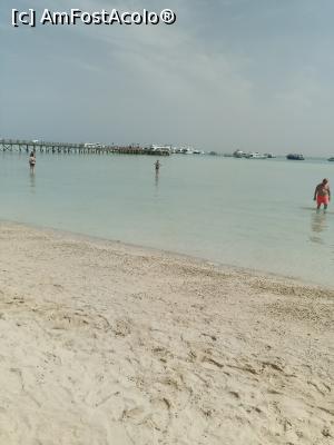 [P10] Nisipul fin din Orange Bay si marea ca lacrima de curata » foto by gianimary
 - 
<span class="allrVoted glyphicon glyphicon-heart hidden" id="av1279349"></span>
<a class="m-l-10 hidden" id="sv1279349" onclick="voting_Foto_DelVot(,1279349,3529)" role="button">șterge vot <span class="glyphicon glyphicon-remove"></span></a>
<a id="v91279349" class=" c-red"  onclick="voting_Foto_SetVot(1279349)" role="button"><span class="glyphicon glyphicon-heart-empty"></span> <b>LIKE</b> = Votează poza</a> <img class="hidden"  id="f1279349W9" src="/imagini/loader.gif" border="0" /><span class="AjErrMes hidden" id="e1279349ErM"></span>