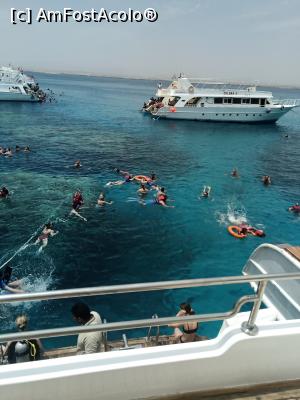 [P07] Toata lumea la scufundari si snokerling » foto by gianimary
 - 
<span class="allrVoted glyphicon glyphicon-heart hidden" id="av1279346"></span>
<a class="m-l-10 hidden" id="sv1279346" onclick="voting_Foto_DelVot(,1279346,3529)" role="button">șterge vot <span class="glyphicon glyphicon-remove"></span></a>
<a id="v91279346" class=" c-red"  onclick="voting_Foto_SetVot(1279346)" role="button"><span class="glyphicon glyphicon-heart-empty"></span> <b>LIKE</b> = Votează poza</a> <img class="hidden"  id="f1279346W9" src="/imagini/loader.gif" border="0" /><span class="AjErrMes hidden" id="e1279346ErM"></span>