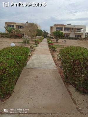 [P12]  -- <small>// FĂRĂ DESCRIERE</small> » foto by criss_bv*
 - 
<span class="allrVoted glyphicon glyphicon-heart hidden" id="av1213606"></span>
<a class="m-l-10 hidden" id="sv1213606" onclick="voting_Foto_DelVot(,1213606,3529)" role="button">șterge vot <span class="glyphicon glyphicon-remove"></span></a>
<a id="v91213606" class=" c-red"  onclick="voting_Foto_SetVot(1213606)" role="button"><span class="glyphicon glyphicon-heart-empty"></span> <b>LIKE</b> = Votează poza</a> <img class="hidden"  id="f1213606W9" src="/imagini/loader.gif" border="0" /><span class="AjErrMes hidden" id="e1213606ErM"></span>