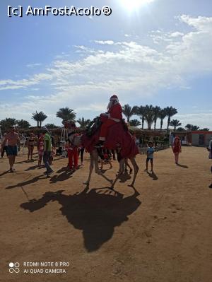 [P03] In Egypt, Mos Craciun vine pe cămila. » foto by criss_bv*
 - 
<span class="allrVoted glyphicon glyphicon-heart hidden" id="av1213597"></span>
<a class="m-l-10 hidden" id="sv1213597" onclick="voting_Foto_DelVot(,1213597,3529)" role="button">șterge vot <span class="glyphicon glyphicon-remove"></span></a>
<a id="v91213597" class=" c-red"  onclick="voting_Foto_SetVot(1213597)" role="button"><span class="glyphicon glyphicon-heart-empty"></span> <b>LIKE</b> = Votează poza</a> <img class="hidden"  id="f1213597W9" src="/imagini/loader.gif" border="0" /><span class="AjErrMes hidden" id="e1213597ErM"></span>