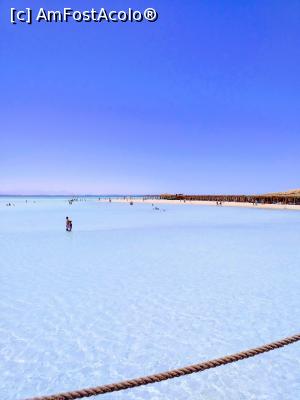 [P06] Culoarea marii aproape de mal. » foto by Rodel
 - 
<span class="allrVoted glyphicon glyphicon-heart hidden" id="av1229339"></span>
<a class="m-l-10 hidden" id="sv1229339" onclick="voting_Foto_DelVot(,1229339,3529)" role="button">șterge vot <span class="glyphicon glyphicon-remove"></span></a>
<a id="v91229339" class=" c-red"  onclick="voting_Foto_SetVot(1229339)" role="button"><span class="glyphicon glyphicon-heart-empty"></span> <b>LIKE</b> = Votează poza</a> <img class="hidden"  id="f1229339W9" src="/imagini/loader.gif" border="0" /><span class="AjErrMes hidden" id="e1229339ErM"></span>