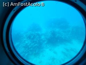 [P08] Bucăti din coral. » foto by iulian68
 - 
<span class="allrVoted glyphicon glyphicon-heart hidden" id="av1475957"></span>
<a class="m-l-10 hidden" id="sv1475957" onclick="voting_Foto_DelVot(,1475957,3529)" role="button">șterge vot <span class="glyphicon glyphicon-remove"></span></a>
<a id="v91475957" class=" c-red"  onclick="voting_Foto_SetVot(1475957)" role="button"><span class="glyphicon glyphicon-heart-empty"></span> <b>LIKE</b> = Votează poza</a> <img class="hidden"  id="f1475957W9" src="/imagini/loader.gif" border="0" /><span class="AjErrMes hidden" id="e1475957ErM"></span>