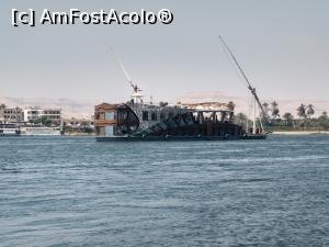 [P14] Cu barca pe Nil. » foto by maryka
 - 
<span class="allrVoted glyphicon glyphicon-heart hidden" id="av1223849"></span>
<a class="m-l-10 hidden" id="sv1223849" onclick="voting_Foto_DelVot(,1223849,3529)" role="button">șterge vot <span class="glyphicon glyphicon-remove"></span></a>
<a id="v91223849" class=" c-red"  onclick="voting_Foto_SetVot(1223849)" role="button"><span class="glyphicon glyphicon-heart-empty"></span> <b>LIKE</b> = Votează poza</a> <img class="hidden"  id="f1223849W9" src="/imagini/loader.gif" border="0" /><span class="AjErrMes hidden" id="e1223849ErM"></span>