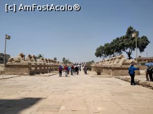 [P16] Aleea sfincșilor privită dinspre templu. » foto by maryka
 - 
<span class="allrVoted glyphicon glyphicon-heart hidden" id="av1223851"></span>
<a class="m-l-10 hidden" id="sv1223851" onclick="voting_Foto_DelVot(,1223851,3529)" role="button">șterge vot <span class="glyphicon glyphicon-remove"></span></a>
<a id="v91223851" class=" c-red"  onclick="voting_Foto_SetVot(1223851)" role="button"><span class="glyphicon glyphicon-heart-empty"></span> <b>LIKE</b> = Votează poza</a> <img class="hidden"  id="f1223851W9" src="/imagini/loader.gif" border="0" /><span class="AjErrMes hidden" id="e1223851ErM"></span>