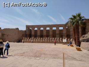 [P18] Templul Karnak și alți sfincși cu cap de berbec. » foto by maryka
 - 
<span class="allrVoted glyphicon glyphicon-heart hidden" id="av1223853"></span>
<a class="m-l-10 hidden" id="sv1223853" onclick="voting_Foto_DelVot(,1223853,3529)" role="button">șterge vot <span class="glyphicon glyphicon-remove"></span></a>
<a id="v91223853" class=" c-red"  onclick="voting_Foto_SetVot(1223853)" role="button"><span class="glyphicon glyphicon-heart-empty"></span> <b>LIKE</b> = Votează poza</a> <img class="hidden"  id="f1223853W9" src="/imagini/loader.gif" border="0" /><span class="AjErrMes hidden" id="e1223853ErM"></span>