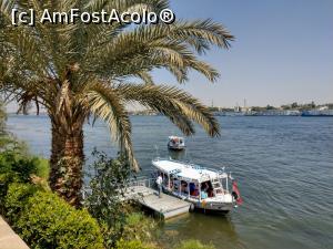 [P25] Bărcuța cu care am traversat Nilul. » foto by maryka
 - 
<span class="allrVoted glyphicon glyphicon-heart hidden" id="av1223860"></span>
<a class="m-l-10 hidden" id="sv1223860" onclick="voting_Foto_DelVot(,1223860,3529)" role="button">șterge vot <span class="glyphicon glyphicon-remove"></span></a>
<a id="v91223860" class=" c-red"  onclick="voting_Foto_SetVot(1223860)" role="button"><span class="glyphicon glyphicon-heart-empty"></span> <b>LIKE</b> = Votează poza</a> <img class="hidden"  id="f1223860W9" src="/imagini/loader.gif" border="0" /><span class="AjErrMes hidden" id="e1223860ErM"></span>