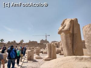 [P27] Templul Karnak. » foto by maryka
 - 
<span class="allrVoted glyphicon glyphicon-heart hidden" id="av1223862"></span>
<a class="m-l-10 hidden" id="sv1223862" onclick="voting_Foto_DelVot(,1223862,3529)" role="button">șterge vot <span class="glyphicon glyphicon-remove"></span></a>
<a id="v91223862" class=" c-red"  onclick="voting_Foto_SetVot(1223862)" role="button"><span class="glyphicon glyphicon-heart-empty"></span> <b>LIKE</b> = Votează poza</a> <img class="hidden"  id="f1223862W9" src="/imagini/loader.gif" border="0" /><span class="AjErrMes hidden" id="e1223862ErM"></span>