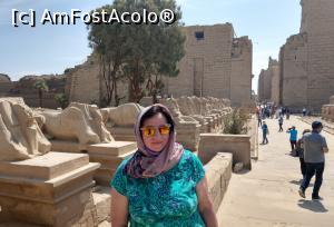 [P34] Am Fost Acolo, Templul Karnak. » foto by maryka
 - 
<span class="allrVoted glyphicon glyphicon-heart hidden" id="av1223869"></span>
<a class="m-l-10 hidden" id="sv1223869" onclick="voting_Foto_DelVot(,1223869,3529)" role="button">șterge vot <span class="glyphicon glyphicon-remove"></span></a>
<a id="v91223869" class=" c-red"  onclick="voting_Foto_SetVot(1223869)" role="button"><span class="glyphicon glyphicon-heart-empty"></span> <b>LIKE</b> = Votează poza</a> <img class="hidden"  id="f1223869W9" src="/imagini/loader.gif" border="0" /><span class="AjErrMes hidden" id="e1223869ErM"></span>