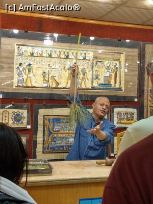 [P37] Planta papirus și demonstrația de la Luxor. » foto by maryka
 - 
<span class="allrVoted glyphicon glyphicon-heart hidden" id="av1223872"></span>
<a class="m-l-10 hidden" id="sv1223872" onclick="voting_Foto_DelVot(,1223872,3529)" role="button">șterge vot <span class="glyphicon glyphicon-remove"></span></a>
<a id="v91223872" class=" c-red"  onclick="voting_Foto_SetVot(1223872)" role="button"><span class="glyphicon glyphicon-heart-empty"></span> <b>LIKE</b> = Votează poza</a> <img class="hidden"  id="f1223872W9" src="/imagini/loader.gif" border="0" /><span class="AjErrMes hidden" id="e1223872ErM"></span>