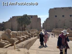 [P04] Aleea sfincșilor, Templul Karnak. » foto by maryka
 - 
<span class="allrVoted glyphicon glyphicon-heart hidden" id="av1223839"></span>
<a class="m-l-10 hidden" id="sv1223839" onclick="voting_Foto_DelVot(,1223839,3529)" role="button">șterge vot <span class="glyphicon glyphicon-remove"></span></a>
<a id="v91223839" class=" c-red"  onclick="voting_Foto_SetVot(1223839)" role="button"><span class="glyphicon glyphicon-heart-empty"></span> <b>LIKE</b> = Votează poza</a> <img class="hidden"  id="f1223839W9" src="/imagini/loader.gif" border="0" /><span class="AjErrMes hidden" id="e1223839ErM"></span>