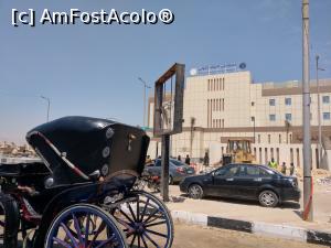 [P42] Luxor, calești pentru turiști, iar &icirc;n plan &icirc;ndepărtat un spital foarte modern. » foto by maryka
 - 
<span class="allrVoted glyphicon glyphicon-heart hidden" id="av1223877"></span>
<a class="m-l-10 hidden" id="sv1223877" onclick="voting_Foto_DelVot(,1223877,3529)" role="button">șterge vot <span class="glyphicon glyphicon-remove"></span></a>
<a id="v91223877" class=" c-red"  onclick="voting_Foto_SetVot(1223877)" role="button"><span class="glyphicon glyphicon-heart-empty"></span> <b>LIKE</b> = Votează poza</a> <img class="hidden"  id="f1223877W9" src="/imagini/loader.gif" border="0" /><span class="AjErrMes hidden" id="e1223877ErM"></span>