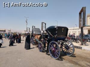 [P51] Luxor, un oraș activ. » foto by maryka
 - 
<span class="allrVoted glyphicon glyphicon-heart hidden" id="av1223886"></span>
<a class="m-l-10 hidden" id="sv1223886" onclick="voting_Foto_DelVot(,1223886,3529)" role="button">șterge vot <span class="glyphicon glyphicon-remove"></span></a>
<a id="v91223886" class=" c-red"  onclick="voting_Foto_SetVot(1223886)" role="button"><span class="glyphicon glyphicon-heart-empty"></span> <b>LIKE</b> = Votează poza</a> <img class="hidden"  id="f1223886W9" src="/imagini/loader.gif" border="0" /><span class="AjErrMes hidden" id="e1223886ErM"></span>