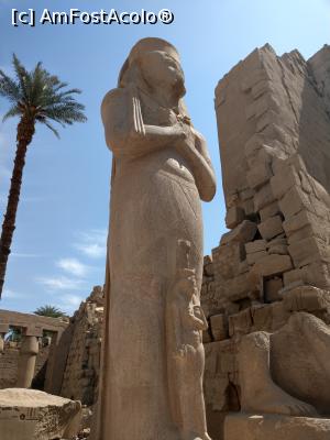 [P07] Templul Karnak, statuia lui Ramses al II-lea. » foto by maryka
 - 
<span class="allrVoted glyphicon glyphicon-heart hidden" id="av1223842"></span>
<a class="m-l-10 hidden" id="sv1223842" onclick="voting_Foto_DelVot(,1223842,3529)" role="button">șterge vot <span class="glyphicon glyphicon-remove"></span></a>
<a id="v91223842" class=" c-red"  onclick="voting_Foto_SetVot(1223842)" role="button"><span class="glyphicon glyphicon-heart-empty"></span> <b>LIKE</b> = Votează poza</a> <img class="hidden"  id="f1223842W9" src="/imagini/loader.gif" border="0" /><span class="AjErrMes hidden" id="e1223842ErM"></span>