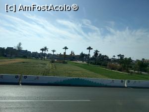 [P84] C&acirc;mpurile, terenurile verzi de pe marginea drumului spre Luxor. » foto by maryka
 - 
<span class="allrVoted glyphicon glyphicon-heart hidden" id="av1223919"></span>
<a class="m-l-10 hidden" id="sv1223919" onclick="voting_Foto_DelVot(,1223919,3529)" role="button">șterge vot <span class="glyphicon glyphicon-remove"></span></a>
<a id="v91223919" class=" c-red"  onclick="voting_Foto_SetVot(1223919)" role="button"><span class="glyphicon glyphicon-heart-empty"></span> <b>LIKE</b> = Votează poza</a> <img class="hidden"  id="f1223919W9" src="/imagini/loader.gif" border="0" /><span class="AjErrMes hidden" id="e1223919ErM"></span>