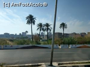 [P86] Luxor, intrăm &icirc;n oraș. » foto by maryka
 - 
<span class="allrVoted glyphicon glyphicon-heart hidden" id="av1223921"></span>
<a class="m-l-10 hidden" id="sv1223921" onclick="voting_Foto_DelVot(,1223921,3529)" role="button">șterge vot <span class="glyphicon glyphicon-remove"></span></a>
<a id="v91223921" class=" c-red"  onclick="voting_Foto_SetVot(1223921)" role="button"><span class="glyphicon glyphicon-heart-empty"></span> <b>LIKE</b> = Votează poza</a> <img class="hidden"  id="f1223921W9" src="/imagini/loader.gif" border="0" /><span class="AjErrMes hidden" id="e1223921ErM"></span>