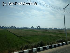 [P87] C&acirc;mpuri verzi, fertile, Luxor. » foto by maryka
 - 
<span class="allrVoted glyphicon glyphicon-heart hidden" id="av1223922"></span>
<a class="m-l-10 hidden" id="sv1223922" onclick="voting_Foto_DelVot(,1223922,3529)" role="button">șterge vot <span class="glyphicon glyphicon-remove"></span></a>
<a id="v91223922" class=" c-red"  onclick="voting_Foto_SetVot(1223922)" role="button"><span class="glyphicon glyphicon-heart-empty"></span> <b>LIKE</b> = Votează poza</a> <img class="hidden"  id="f1223922W9" src="/imagini/loader.gif" border="0" /><span class="AjErrMes hidden" id="e1223922ErM"></span>