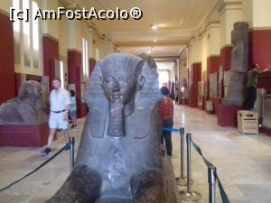 [P13] Tot prin muzeu » foto by fan bulgaria
 - 
<span class="allrVoted glyphicon glyphicon-heart hidden" id="av1104480"></span>
<a class="m-l-10 hidden" id="sv1104480" onclick="voting_Foto_DelVot(,1104480,3529)" role="button">șterge vot <span class="glyphicon glyphicon-remove"></span></a>
<a id="v91104480" class=" c-red"  onclick="voting_Foto_SetVot(1104480)" role="button"><span class="glyphicon glyphicon-heart-empty"></span> <b>LIKE</b> = Votează poza</a> <img class="hidden"  id="f1104480W9" src="/imagini/loader.gif" border="0" /><span class="AjErrMes hidden" id="e1104480ErM"></span>