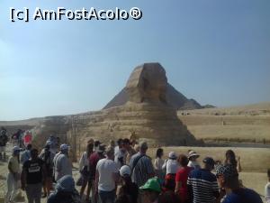 [P20] Sfinxul » foto by fan bulgaria
 - 
<span class="allrVoted glyphicon glyphicon-heart hidden" id="av1104487"></span>
<a class="m-l-10 hidden" id="sv1104487" onclick="voting_Foto_DelVot(,1104487,3529)" role="button">șterge vot <span class="glyphicon glyphicon-remove"></span></a>
<a id="v91104487" class=" c-red"  onclick="voting_Foto_SetVot(1104487)" role="button"><span class="glyphicon glyphicon-heart-empty"></span> <b>LIKE</b> = Votează poza</a> <img class="hidden"  id="f1104487W9" src="/imagini/loader.gif" border="0" /><span class="AjErrMes hidden" id="e1104487ErM"></span>