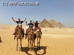 [P04] Cairo, cu camile » foto by fearsom
 - 
<span class="allrVoted glyphicon glyphicon-heart hidden" id="av1228983"></span>
<a class="m-l-10 hidden" id="sv1228983" onclick="voting_Foto_DelVot(,1228983,3529)" role="button">șterge vot <span class="glyphicon glyphicon-remove"></span></a>
<a id="v91228983" class=" c-red"  onclick="voting_Foto_SetVot(1228983)" role="button"><span class="glyphicon glyphicon-heart-empty"></span> <b>LIKE</b> = Votează poza</a> <img class="hidden"  id="f1228983W9" src="/imagini/loader.gif" border="0" /><span class="AjErrMes hidden" id="e1228983ErM"></span>