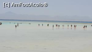 [P17] Orange Bay, Insula Giftun » foto by vlado2
 - 
<span class="allrVoted glyphicon glyphicon-heart hidden" id="av1523258"></span>
<a class="m-l-10 hidden" id="sv1523258" onclick="voting_Foto_DelVot(,1523258,3529)" role="button">șterge vot <span class="glyphicon glyphicon-remove"></span></a>
<a id="v91523258" class=" c-red"  onclick="voting_Foto_SetVot(1523258)" role="button"><span class="glyphicon glyphicon-heart-empty"></span> <b>LIKE</b> = Votează poza</a> <img class="hidden"  id="f1523258W9" src="/imagini/loader.gif" border="0" /><span class="AjErrMes hidden" id="e1523258ErM"></span>