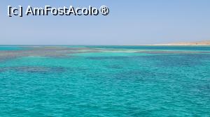 [P02] Incredibila Mare Roșie » foto by vlado2
 - 
<span class="allrVoted glyphicon glyphicon-heart hidden" id="av1523243"></span>
<a class="m-l-10 hidden" id="sv1523243" onclick="voting_Foto_DelVot(,1523243,3529)" role="button">șterge vot <span class="glyphicon glyphicon-remove"></span></a>
<a id="v91523243" class=" c-red"  onclick="voting_Foto_SetVot(1523243)" role="button"><span class="glyphicon glyphicon-heart-empty"></span> <b>LIKE</b> = Votează poza</a> <img class="hidden"  id="f1523243W9" src="/imagini/loader.gif" border="0" /><span class="AjErrMes hidden" id="e1523243ErM"></span>