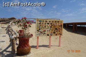 [P16] lista cu pesti » foto by vacantamea2012
 - 
<span class="allrVoted glyphicon glyphicon-heart hidden" id="av1197076"></span>
<a class="m-l-10 hidden" id="sv1197076" onclick="voting_Foto_DelVot(,1197076,3529)" role="button">șterge vot <span class="glyphicon glyphicon-remove"></span></a>
<a id="v91197076" class=" c-red"  onclick="voting_Foto_SetVot(1197076)" role="button"><span class="glyphicon glyphicon-heart-empty"></span> <b>LIKE</b> = Votează poza</a> <img class="hidden"  id="f1197076W9" src="/imagini/loader.gif" border="0" /><span class="AjErrMes hidden" id="e1197076ErM"></span>