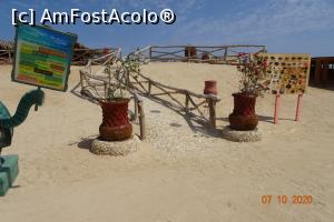 [P27] paradise island » foto by vacantamea2012
 - 
<span class="allrVoted glyphicon glyphicon-heart hidden" id="av1197087"></span>
<a class="m-l-10 hidden" id="sv1197087" onclick="voting_Foto_DelVot(,1197087,3529)" role="button">șterge vot <span class="glyphicon glyphicon-remove"></span></a>
<a id="v91197087" class=" c-red"  onclick="voting_Foto_SetVot(1197087)" role="button"><span class="glyphicon glyphicon-heart-empty"></span> <b>LIKE</b> = Votează poza</a> <img class="hidden"  id="f1197087W9" src="/imagini/loader.gif" border="0" /><span class="AjErrMes hidden" id="e1197087ErM"></span>