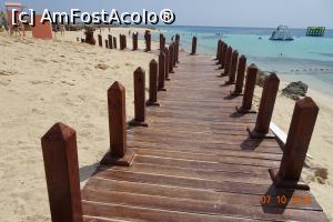 [P32] podet pe nisip » foto by vacantamea2012
 - 
<span class="allrVoted glyphicon glyphicon-heart hidden" id="av1197092"></span>
<a class="m-l-10 hidden" id="sv1197092" onclick="voting_Foto_DelVot(,1197092,3529)" role="button">șterge vot <span class="glyphicon glyphicon-remove"></span></a>
<a id="v91197092" class=" c-red"  onclick="voting_Foto_SetVot(1197092)" role="button"><span class="glyphicon glyphicon-heart-empty"></span> <b>LIKE</b> = Votează poza</a> <img class="hidden"  id="f1197092W9" src="/imagini/loader.gif" border="0" /><span class="AjErrMes hidden" id="e1197092ErM"></span>