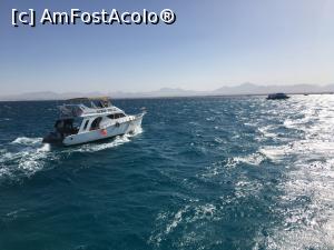 [P16] Pe marea Roșie » foto by AZE
 - 
<span class="allrVoted glyphicon glyphicon-heart hidden" id="av1222736"></span>
<a class="m-l-10 hidden" id="sv1222736" onclick="voting_Foto_DelVot(,1222736,3529)" role="button">șterge vot <span class="glyphicon glyphicon-remove"></span></a>
<a id="v91222736" class=" c-red"  onclick="voting_Foto_SetVot(1222736)" role="button"><span class="glyphicon glyphicon-heart-empty"></span> <b>LIKE</b> = Votează poza</a> <img class="hidden"  id="f1222736W9" src="/imagini/loader.gif" border="0" /><span class="AjErrMes hidden" id="e1222736ErM"></span>