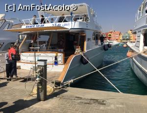 [P25] Vasul cu nume de salam » foto by AZE
 - 
<span class="allrVoted glyphicon glyphicon-heart hidden" id="av1222745"></span>
<a class="m-l-10 hidden" id="sv1222745" onclick="voting_Foto_DelVot(,1222745,3529)" role="button">șterge vot <span class="glyphicon glyphicon-remove"></span></a>
<a id="v91222745" class=" c-red"  onclick="voting_Foto_SetVot(1222745)" role="button"><span class="glyphicon glyphicon-heart-empty"></span> <b>LIKE</b> = Votează poza</a> <img class="hidden"  id="f1222745W9" src="/imagini/loader.gif" border="0" /><span class="AjErrMes hidden" id="e1222745ErM"></span>