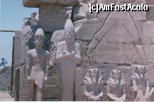 [P13] In interiorul templului din Karnak. » foto by presario
 - 
<span class="allrVoted glyphicon glyphicon-heart hidden" id="av136135"></span>
<a class="m-l-10 hidden" id="sv136135" onclick="voting_Foto_DelVot(,136135,3529)" role="button">șterge vot <span class="glyphicon glyphicon-remove"></span></a>
<a id="v9136135" class=" c-red"  onclick="voting_Foto_SetVot(136135)" role="button"><span class="glyphicon glyphicon-heart-empty"></span> <b>LIKE</b> = Votează poza</a> <img class="hidden"  id="f136135W9" src="/imagini/loader.gif" border="0" /><span class="AjErrMes hidden" id="e136135ErM"></span>