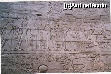 [P14] Karnak - 'mostra' de inscriptii vechi egiptene » foto by presario
 - 
<span class="allrVoted glyphicon glyphicon-heart hidden" id="av136137"></span>
<a class="m-l-10 hidden" id="sv136137" onclick="voting_Foto_DelVot(,136137,3529)" role="button">șterge vot <span class="glyphicon glyphicon-remove"></span></a>
<a id="v9136137" class=" c-red"  onclick="voting_Foto_SetVot(136137)" role="button"><span class="glyphicon glyphicon-heart-empty"></span> <b>LIKE</b> = Votează poza</a> <img class="hidden"  id="f136137W9" src="/imagini/loader.gif" border="0" /><span class="AjErrMes hidden" id="e136137ErM"></span>