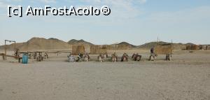 [P04] Cămile în satul de beduini, în așteptarea turiștilor.  » foto by Aurici
 - 
<span class="allrVoted glyphicon glyphicon-heart hidden" id="av1158199"></span>
<a class="m-l-10 hidden" id="sv1158199" onclick="voting_Foto_DelVot(,1158199,3529)" role="button">șterge vot <span class="glyphicon glyphicon-remove"></span></a>
<a id="v91158199" class=" c-red"  onclick="voting_Foto_SetVot(1158199)" role="button"><span class="glyphicon glyphicon-heart-empty"></span> <b>LIKE</b> = Votează poza</a> <img class="hidden"  id="f1158199W9" src="/imagini/loader.gif" border="0" /><span class="AjErrMes hidden" id="e1158199ErM"></span>