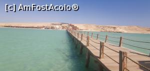 [P50] Accesul către Insula Giftun.  » foto by Aurici
 - 
<span class="allrVoted glyphicon glyphicon-heart hidden" id="av1158298"></span>
<a class="m-l-10 hidden" id="sv1158298" onclick="voting_Foto_DelVot(,1158298,3529)" role="button">șterge vot <span class="glyphicon glyphicon-remove"></span></a>
<a id="v91158298" class=" c-red"  onclick="voting_Foto_SetVot(1158298)" role="button"><span class="glyphicon glyphicon-heart-empty"></span> <b>LIKE</b> = Votează poza</a> <img class="hidden"  id="f1158298W9" src="/imagini/loader.gif" border="0" /><span class="AjErrMes hidden" id="e1158298ErM"></span>