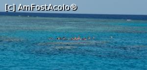 [P58] Snorkeling în Marea Roșie.  » foto by Aurici
 - 
<span class="allrVoted glyphicon glyphicon-heart hidden" id="av1158319"></span>
<a class="m-l-10 hidden" id="sv1158319" onclick="voting_Foto_DelVot(,1158319,3529)" role="button">șterge vot <span class="glyphicon glyphicon-remove"></span></a>
<a id="v91158319" class=" c-red"  onclick="voting_Foto_SetVot(1158319)" role="button"><span class="glyphicon glyphicon-heart-empty"></span> <b>LIKE</b> = Votează poza</a> <img class="hidden"  id="f1158319W9" src="/imagini/loader.gif" border="0" /><span class="AjErrMes hidden" id="e1158319ErM"></span>