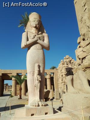 [P17] Statuia faraonului Ramses al III -lea, impresionantă.  » foto by marsus
 - 
<span class="allrVoted glyphicon glyphicon-heart hidden" id="av1118221"></span>
<a class="m-l-10 hidden" id="sv1118221" onclick="voting_Foto_DelVot(,1118221,3529)" role="button">șterge vot <span class="glyphicon glyphicon-remove"></span></a>
<a id="v91118221" class=" c-red"  onclick="voting_Foto_SetVot(1118221)" role="button"><span class="glyphicon glyphicon-heart-empty"></span> <b>LIKE</b> = Votează poza</a> <img class="hidden"  id="f1118221W9" src="/imagini/loader.gif" border="0" /><span class="AjErrMes hidden" id="e1118221ErM"></span>