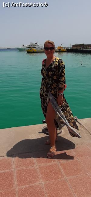 [P17] Hurghada Marina » foto by Cammmy21
 - 
<span class="allrVoted glyphicon glyphicon-heart hidden" id="av1255760"></span>
<a class="m-l-10 hidden" id="sv1255760" onclick="voting_Foto_DelVot(,1255760,3529)" role="button">șterge vot <span class="glyphicon glyphicon-remove"></span></a>
<a id="v91255760" class=" c-red"  onclick="voting_Foto_SetVot(1255760)" role="button"><span class="glyphicon glyphicon-heart-empty"></span> <b>LIKE</b> = Votează poza</a> <img class="hidden"  id="f1255760W9" src="/imagini/loader.gif" border="0" /><span class="AjErrMes hidden" id="e1255760ErM"></span>