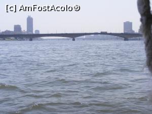 [P17] Pe Nil » foto by ioana74
 - 
<span class="allrVoted glyphicon glyphicon-heart hidden" id="av1033999"></span>
<a class="m-l-10 hidden" id="sv1033999" onclick="voting_Foto_DelVot(,1033999,3529)" role="button">șterge vot <span class="glyphicon glyphicon-remove"></span></a>
<a id="v91033999" class=" c-red"  onclick="voting_Foto_SetVot(1033999)" role="button"><span class="glyphicon glyphicon-heart-empty"></span> <b>LIKE</b> = Votează poza</a> <img class="hidden"  id="f1033999W9" src="/imagini/loader.gif" border="0" /><span class="AjErrMes hidden" id="e1033999ErM"></span>
