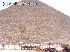 [P09] magari si vanzatori ambulanti » foto by ioana74
 - 
<span class="allrVoted glyphicon glyphicon-heart hidden" id="av1033991"></span>
<a class="m-l-10 hidden" id="sv1033991" onclick="voting_Foto_DelVot(,1033991,3529)" role="button">șterge vot <span class="glyphicon glyphicon-remove"></span></a>
<a id="v91033991" class=" c-red"  onclick="voting_Foto_SetVot(1033991)" role="button"><span class="glyphicon glyphicon-heart-empty"></span> <b>LIKE</b> = Votează poza</a> <img class="hidden"  id="f1033991W9" src="/imagini/loader.gif" border="0" /><span class="AjErrMes hidden" id="e1033991ErM"></span>