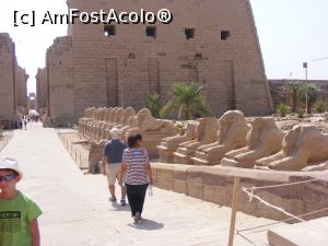 [P12] aleea de la intrare » foto by ioana74
 - 
<span class="allrVoted glyphicon glyphicon-heart hidden" id="av1040147"></span>
<a class="m-l-10 hidden" id="sv1040147" onclick="voting_Foto_DelVot(,1040147,3529)" role="button">șterge vot <span class="glyphicon glyphicon-remove"></span></a>
<a id="v91040147" class=" c-red"  onclick="voting_Foto_SetVot(1040147)" role="button"><span class="glyphicon glyphicon-heart-empty"></span> <b>LIKE</b> = Votează poza</a> <img class="hidden"  id="f1040147W9" src="/imagini/loader.gif" border="0" /><span class="AjErrMes hidden" id="e1040147ErM"></span>