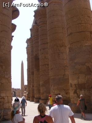 [P15] Se vede obeliscul la Karnak » foto by ioana74
 - 
<span class="allrVoted glyphicon glyphicon-heart hidden" id="av1040150"></span>
<a class="m-l-10 hidden" id="sv1040150" onclick="voting_Foto_DelVot(,1040150,3529)" role="button">șterge vot <span class="glyphicon glyphicon-remove"></span></a>
<a id="v91040150" class=" c-red"  onclick="voting_Foto_SetVot(1040150)" role="button"><span class="glyphicon glyphicon-heart-empty"></span> <b>LIKE</b> = Votează poza</a> <img class="hidden"  id="f1040150W9" src="/imagini/loader.gif" border="0" /><span class="AjErrMes hidden" id="e1040150ErM"></span>