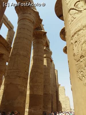 [P02] Karnak » foto by ioana74
 - 
<span class="allrVoted glyphicon glyphicon-heart hidden" id="av1040137"></span>
<a class="m-l-10 hidden" id="sv1040137" onclick="voting_Foto_DelVot(,1040137,3529)" role="button">șterge vot <span class="glyphicon glyphicon-remove"></span></a>
<a id="v91040137" class=" c-red"  onclick="voting_Foto_SetVot(1040137)" role="button"><span class="glyphicon glyphicon-heart-empty"></span> <b>LIKE</b> = Votează poza</a> <img class="hidden"  id="f1040137W9" src="/imagini/loader.gif" border="0" /><span class="AjErrMes hidden" id="e1040137ErM"></span>