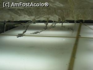 [P28] Macheta mormintelor din Valea Regilor, culoare lungi » foto by ioana74
 - 
<span class="allrVoted glyphicon glyphicon-heart hidden" id="av1040207"></span>
<a class="m-l-10 hidden" id="sv1040207" onclick="voting_Foto_DelVot(,1040207,3529)" role="button">șterge vot <span class="glyphicon glyphicon-remove"></span></a>
<a id="v91040207" class=" c-red"  onclick="voting_Foto_SetVot(1040207)" role="button"><span class="glyphicon glyphicon-heart-empty"></span> <b>LIKE</b> = Votează poza</a> <img class="hidden"  id="f1040207W9" src="/imagini/loader.gif" border="0" /><span class="AjErrMes hidden" id="e1040207ErM"></span>