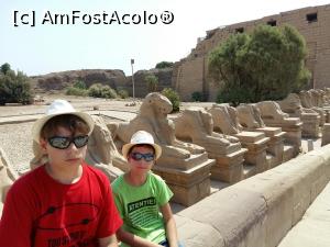 [P04] Intrarea la Karnak » foto by ioana74
 - 
<span class="allrVoted glyphicon glyphicon-heart hidden" id="av1040139"></span>
<a class="m-l-10 hidden" id="sv1040139" onclick="voting_Foto_DelVot(,1040139,3529)" role="button">șterge vot <span class="glyphicon glyphicon-remove"></span></a>
<a id="v91040139" class=" c-red"  onclick="voting_Foto_SetVot(1040139)" role="button"><span class="glyphicon glyphicon-heart-empty"></span> <b>LIKE</b> = Votează poza</a> <img class="hidden"  id="f1040139W9" src="/imagini/loader.gif" border="0" /><span class="AjErrMes hidden" id="e1040139ErM"></span>