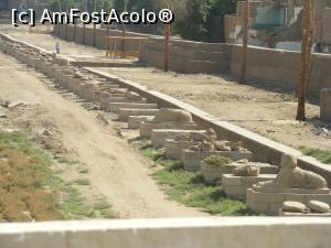 [P09] Prin Luxor » foto by ioana74
 - 
<span class="allrVoted glyphicon glyphicon-heart hidden" id="av1040144"></span>
<a class="m-l-10 hidden" id="sv1040144" onclick="voting_Foto_DelVot(,1040144,3529)" role="button">șterge vot <span class="glyphicon glyphicon-remove"></span></a>
<a id="v91040144" class=" c-red"  onclick="voting_Foto_SetVot(1040144)" role="button"><span class="glyphicon glyphicon-heart-empty"></span> <b>LIKE</b> = Votează poza</a> <img class="hidden"  id="f1040144W9" src="/imagini/loader.gif" border="0" /><span class="AjErrMes hidden" id="e1040144ErM"></span>