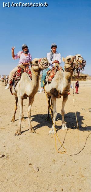 [P01]  -- <small>// FĂRĂ DESCRIERE</small> » foto by addadeia
 - 
<span class="allrVoted glyphicon glyphicon-heart hidden" id="av1245887"></span>
<a class="m-l-10 hidden" id="sv1245887" onclick="voting_Foto_DelVot(,1245887,3529)" role="button">șterge vot <span class="glyphicon glyphicon-remove"></span></a>
<a id="v91245887" class=" c-red"  onclick="voting_Foto_SetVot(1245887)" role="button"><span class="glyphicon glyphicon-heart-empty"></span> <b>LIKE</b> = Votează poza</a> <img class="hidden"  id="f1245887W9" src="/imagini/loader.gif" border="0" /><span class="AjErrMes hidden" id="e1245887ErM"></span>