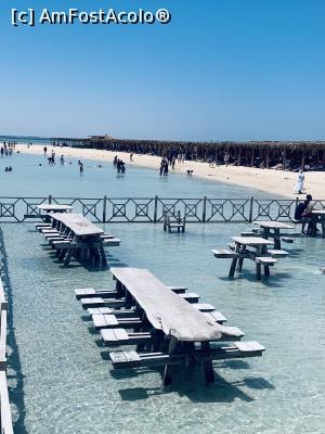 [P07]  -- <small>// FĂRĂ DESCRIERE</small> » foto by addadeia
 - 
<span class="allrVoted glyphicon glyphicon-heart hidden" id="av1245893"></span>
<a class="m-l-10 hidden" id="sv1245893" onclick="voting_Foto_DelVot(,1245893,3529)" role="button">șterge vot <span class="glyphicon glyphicon-remove"></span></a>
<a id="v91245893" class=" c-red"  onclick="voting_Foto_SetVot(1245893)" role="button"><span class="glyphicon glyphicon-heart-empty"></span> <b>LIKE</b> = Votează poza</a> <img class="hidden"  id="f1245893W9" src="/imagini/loader.gif" border="0" /><span class="AjErrMes hidden" id="e1245893ErM"></span>