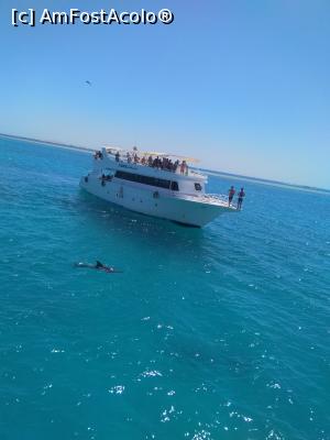 [P16] De pe o barca pe alta » foto by edicrisromi*
 - 
<span class="allrVoted glyphicon glyphicon-heart hidden" id="av1223614"></span>
<a class="m-l-10 hidden" id="sv1223614" onclick="voting_Foto_DelVot(,1223614,3529)" role="button">șterge vot <span class="glyphicon glyphicon-remove"></span></a>
<a id="v91223614" class=" c-red"  onclick="voting_Foto_SetVot(1223614)" role="button"><span class="glyphicon glyphicon-heart-empty"></span> <b>LIKE</b> = Votează poza</a> <img class="hidden"  id="f1223614W9" src="/imagini/loader.gif" border="0" /><span class="AjErrMes hidden" id="e1223614ErM"></span>