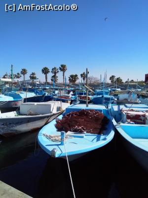 [P19] Barci ale pescarilor » foto by edicrisromi*
 - 
<span class="allrVoted glyphicon glyphicon-heart hidden" id="av1223617"></span>
<a class="m-l-10 hidden" id="sv1223617" onclick="voting_Foto_DelVot(,1223617,3529)" role="button">șterge vot <span class="glyphicon glyphicon-remove"></span></a>
<a id="v91223617" class=" c-red"  onclick="voting_Foto_SetVot(1223617)" role="button"><span class="glyphicon glyphicon-heart-empty"></span> <b>LIKE</b> = Votează poza</a> <img class="hidden"  id="f1223617W9" src="/imagini/loader.gif" border="0" /><span class="AjErrMes hidden" id="e1223617ErM"></span>